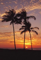 Solnedgang p Maui